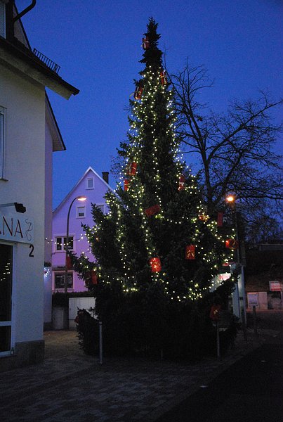 Der schönste Weihnachtsbaum stand in Birkach